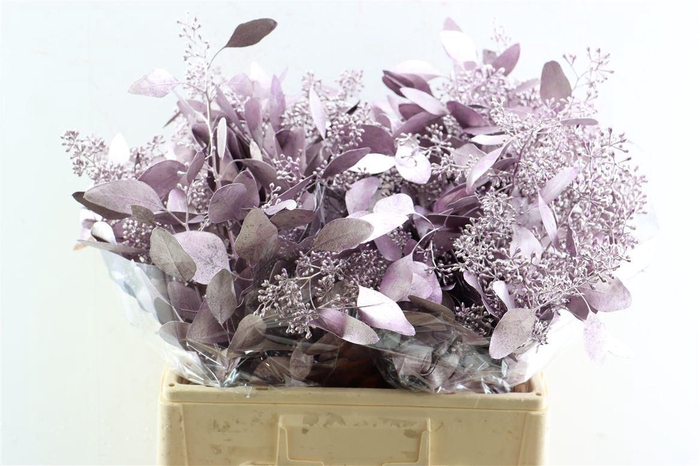 <h4>Euca Populus Berry Metal Lila P Bunch</h4>