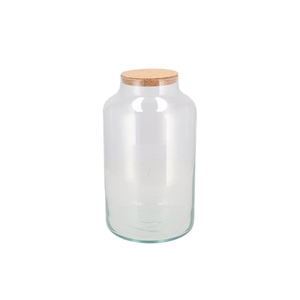 Glass Terrarium Milk With Cork 18x18x30cm