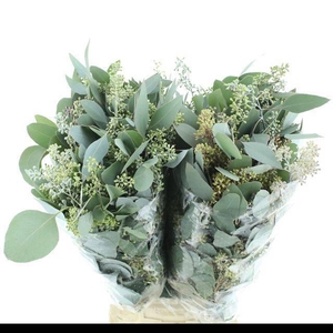 EUC POLYAN FRUI P BS