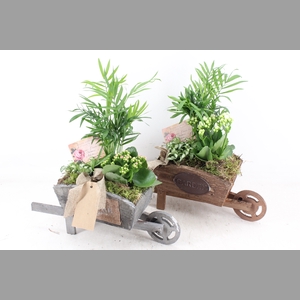 arr2 TD - Hout kruiwagen - roze/wit