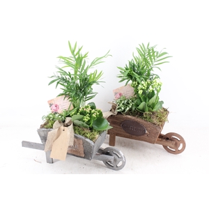 arr2 TD - Hout kruiwagen - roze/wit