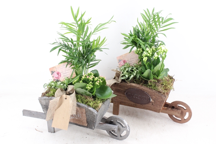 <h4>arr2 TD - Hout kruiwagen - roze/wit</h4>