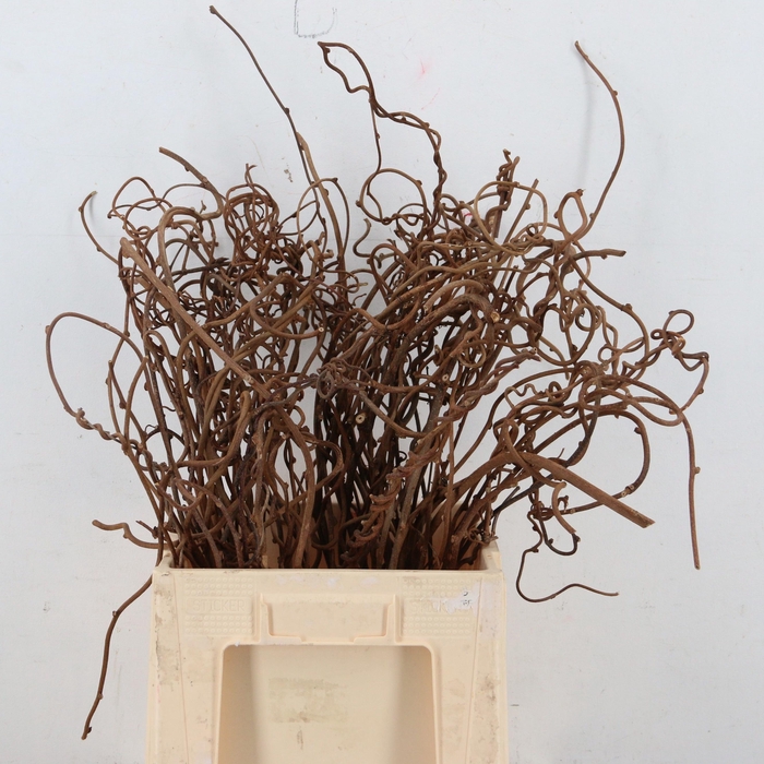 <h4>DECOGROEN OV</h4>