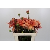 Dahlia Babylon Bronze