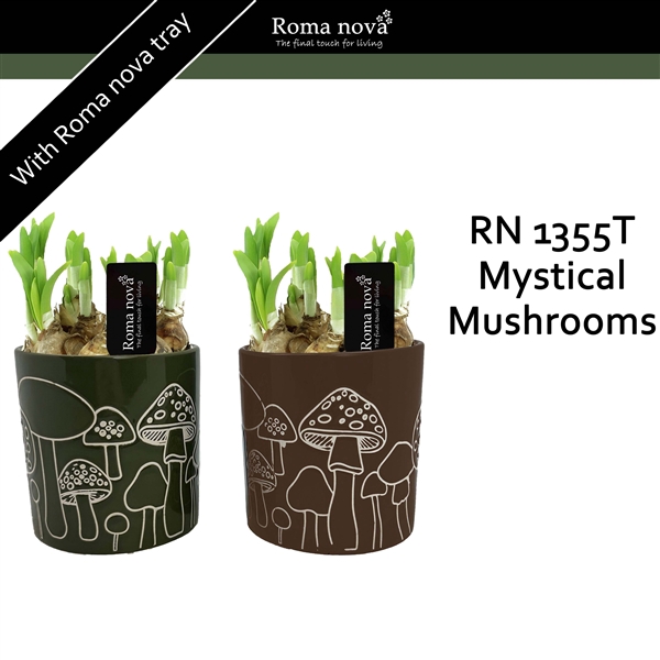 <h4>1355T - Mystical Mushrooms (Tete a Tete)</h4>