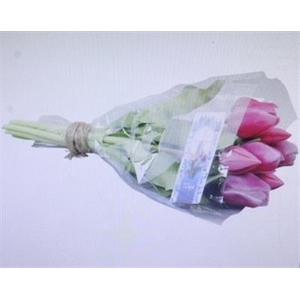 3103 Kunst Tulp D.roze