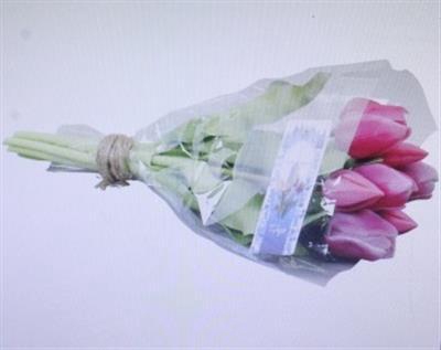 <h4>3103 Kunst Tulp D.roze</h4>