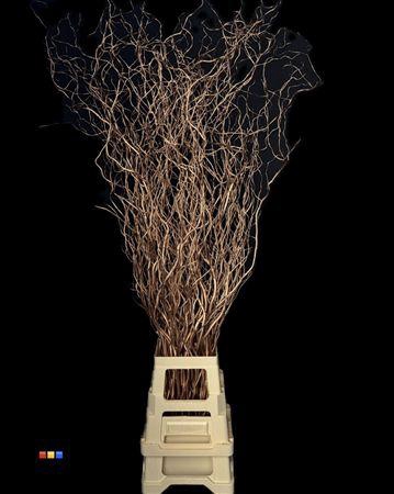 <h4>Salix 130cm Copper</h4>