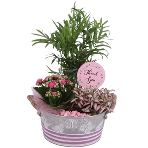 Mothersday Arr. Indoor Zinc Butterfly Pot Ø21cm 3PP