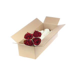 Phalaris red