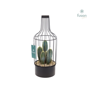 Metaal fles zwart Medium met Cactussen