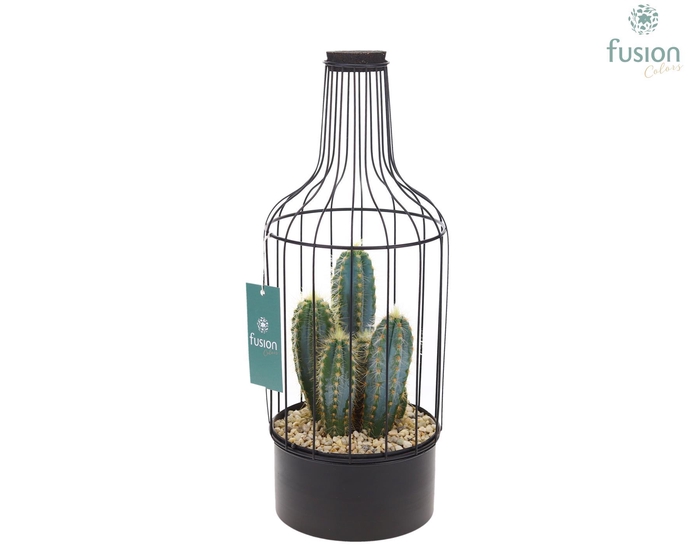 <h4>Metaal fles zwart Medium met Cactussen</h4>