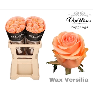 R GR WAX VERSILIA (60CM)