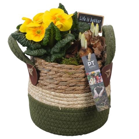 <h4>PTBM3828 Arrangementen Tuinplanten</h4>