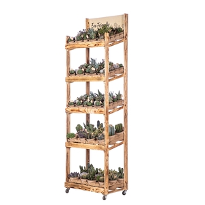 WOODEN DISPLAY ECO-FRIENDLY: Ø7 108PCS; Ø10 32PCS MIX IN ECO TRAY WITH ECO-SUSTAINABLE POT (CACTUS EN SUCCULENTEN)