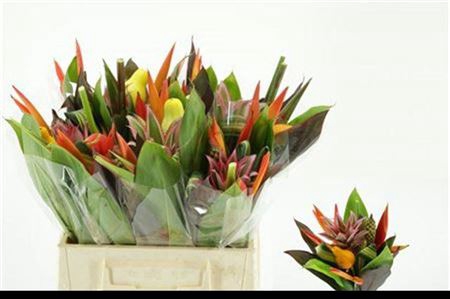 <h4>Heliconia Boeket</h4>