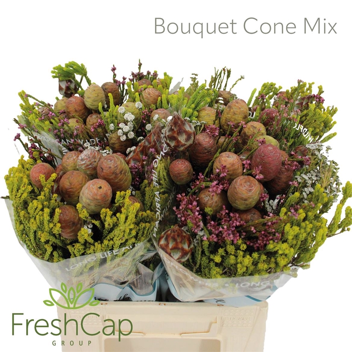 <h4>Bouquet Cone Mix</h4>