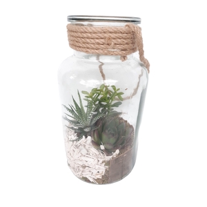 814 SUC Fles / Terrarium 14/26 mini Succulentmix