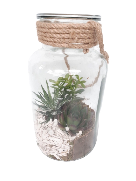 <h4>814 SUC Fles / Terrarium 14/26 mini Succulentmix</h4>
