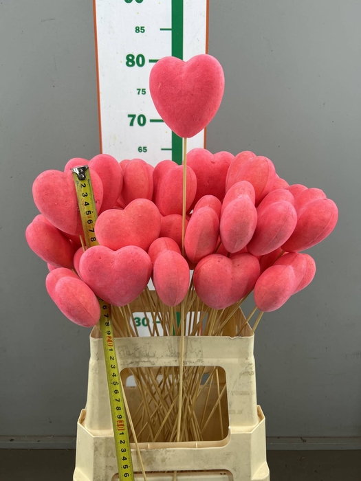 <h4>HART VELVET ROSE 8 CM</h4>