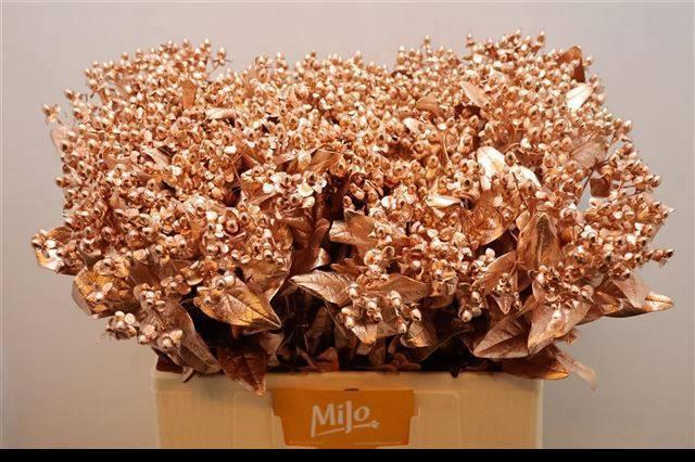 <h4>HYP OV KLB H%</h4>