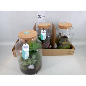 Arr.   Planten H%
