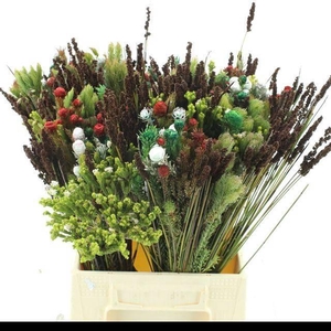 ALLERHEILIGENBOEK BS