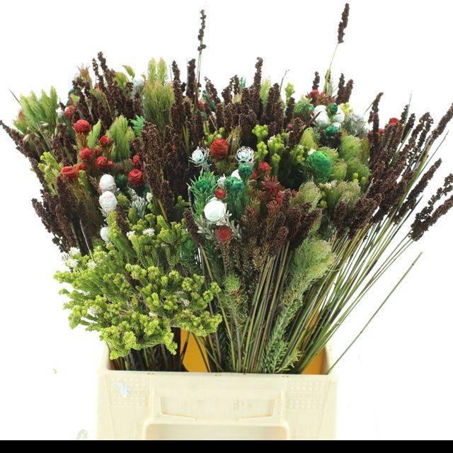 <h4>ALLERHEILIGENBOEK BS</h4>