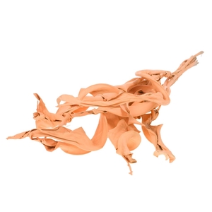 Strelitzia 10pc Coral Misty