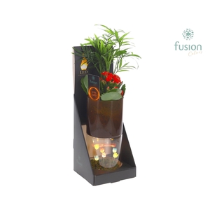 Glas tube Led planter groot met Arrangement