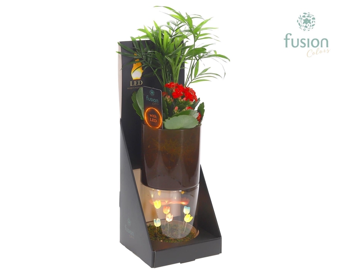 <h4>Glas tube Led planter groot met Arrangement</h4>