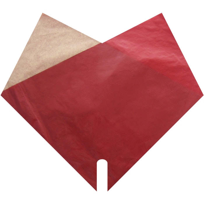 <h4>Hoezen Double Kraft 35*35cm x50</h4>