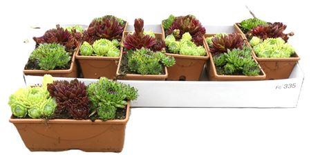 <h4>Semp Gem Balcon Bakken</h4>