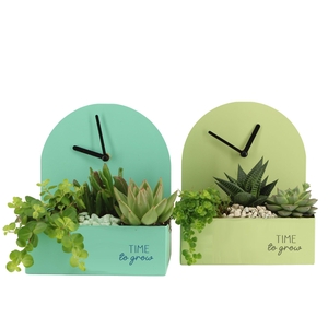 11582: Consideration arrangement