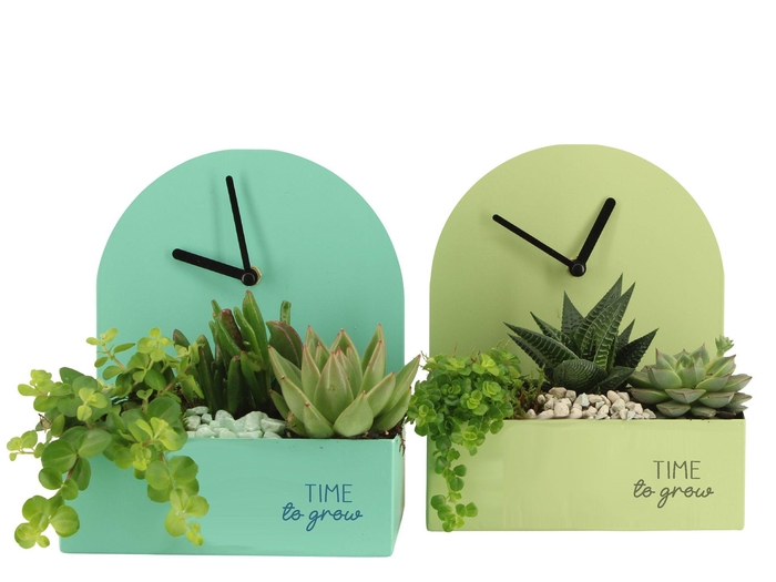 <h4>11582: Consideration arrangement</h4>