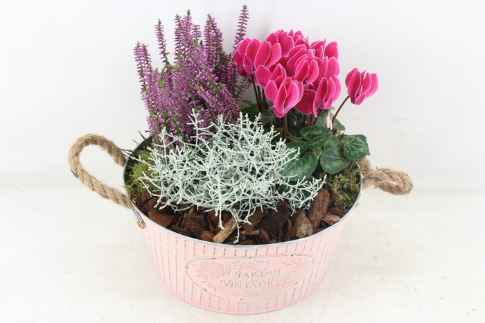 <h4>arr4 Outdoor PL - Zink jardin roze</h4>