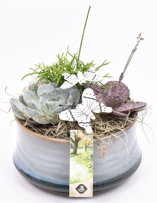 <h4>Keramiek schaal blauw/grijs 18cm</h4>