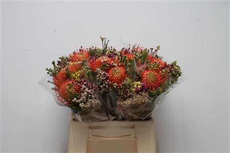 <h4>Protea   .../bos</h4>