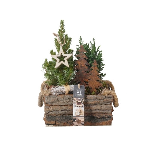 <h4>PTCWW2740 Arrangement Winter in hout kist</h4>