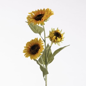 AF Helianthus x3 L90cm Yellow
