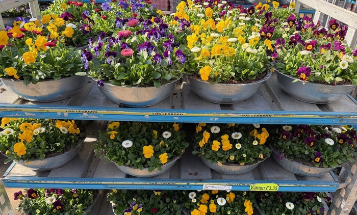 <h4>OVERIGE PERKPL</h4>