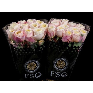 R Gr Gar Fatima Garden