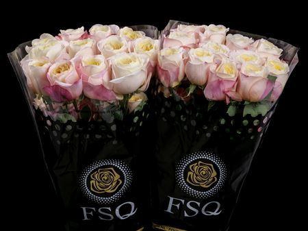 <h4>R Gr Gar Fatima Garden</h4>