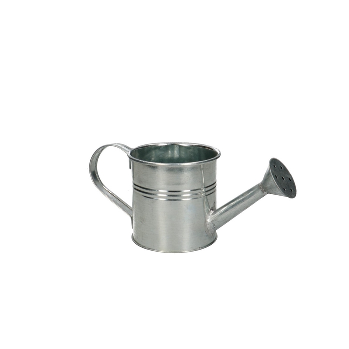 <h4>Zinc Watering can d09*09cm</h4>