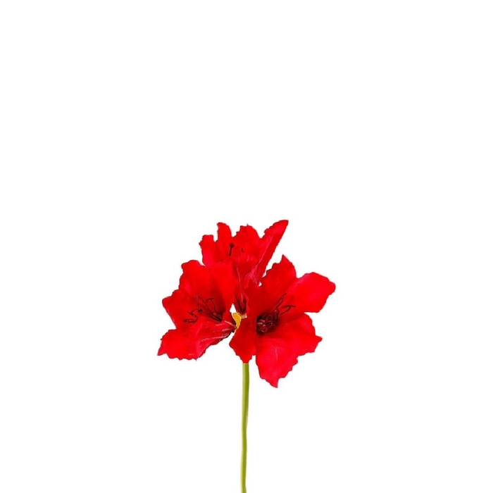 <h4>Amaryllis 65cm</h4>