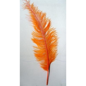 DROOG STRUISVOGELVER ORANGE