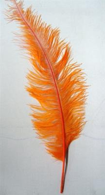 <h4>DROOG STRUISVOGELVER ORANGE</h4>