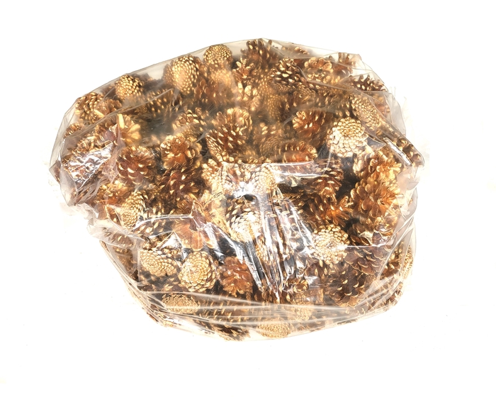 Pine cone 10 kg in bag Antique Gold