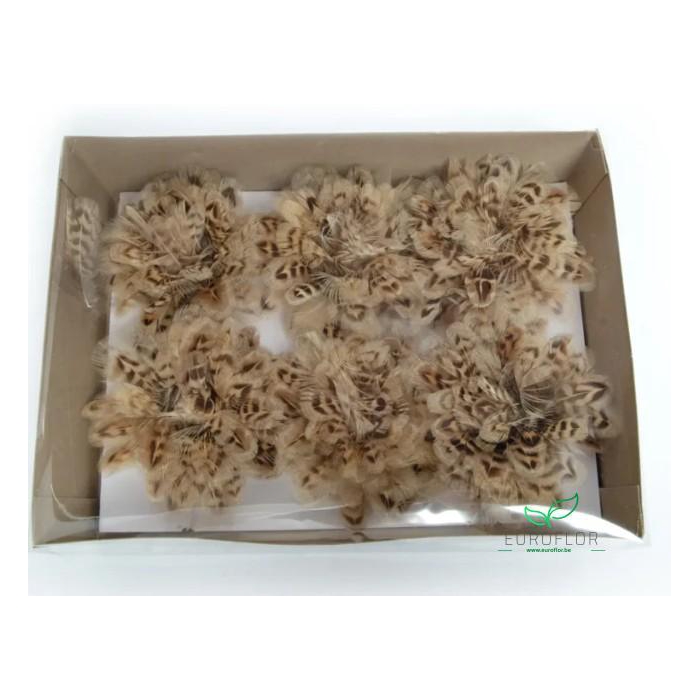 <h4>ROZEN VEREN ON WIRE NATURAL BROWN 6PCS</h4>