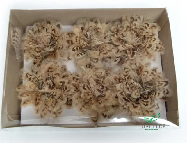 ROZEN VEREN ON WIRE NATURAL BROWN 6PCS